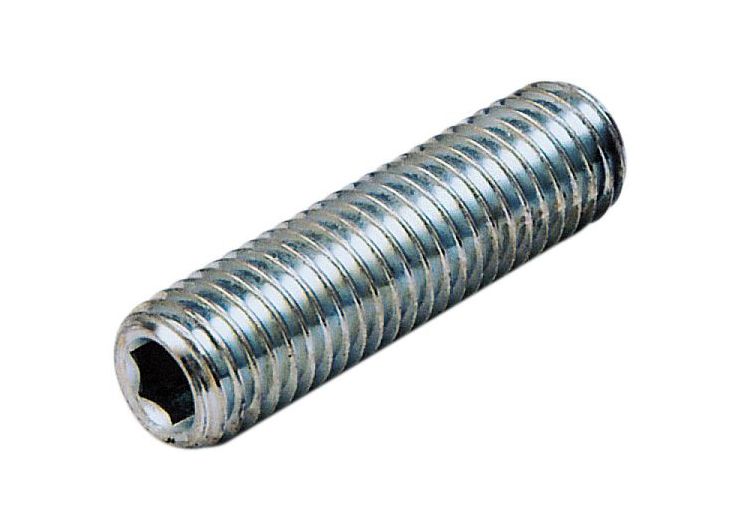 Socket Set Screw PCP BZP