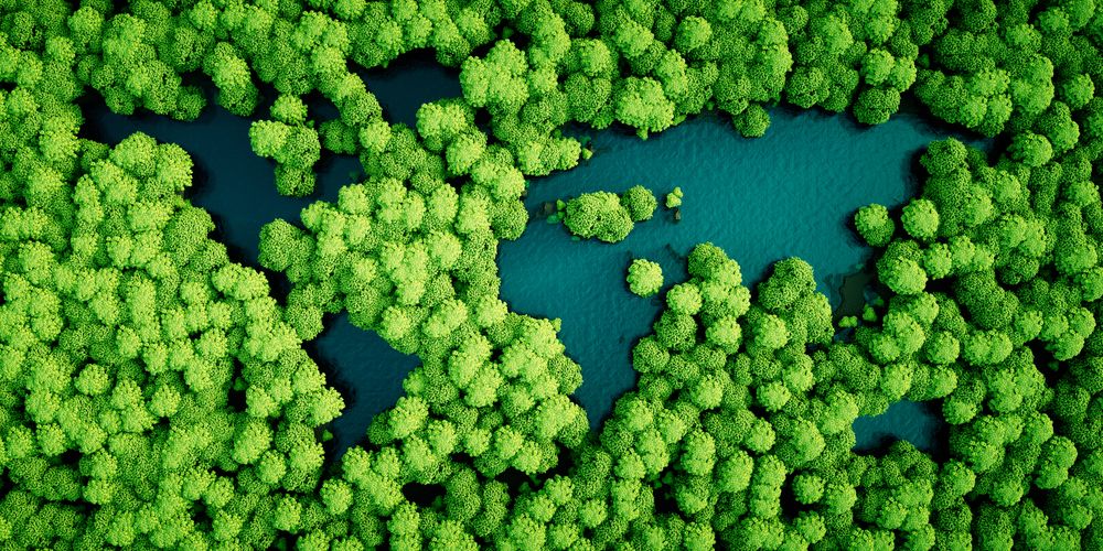 Selkent's Commitment to Sustainability: Working Towards a Greener Future